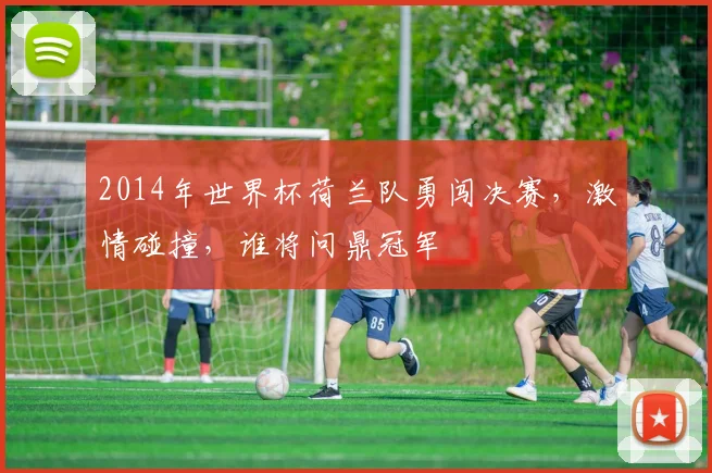 2014年世界杯荷兰队勇闯决赛，激情碰撞，谁将问鼎冠军
