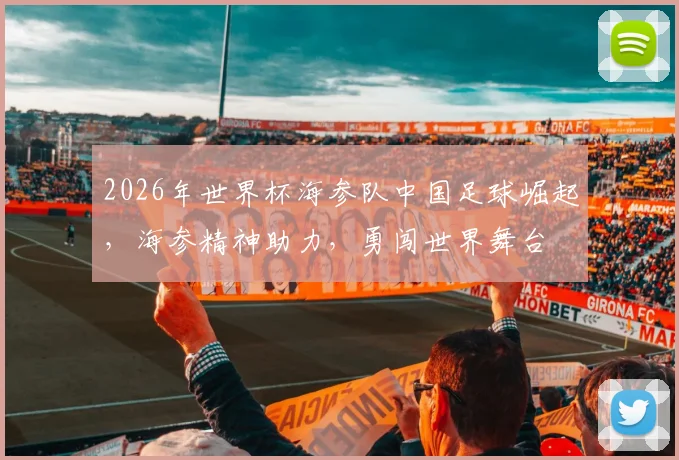 2026年世界杯海参队中国足球崛起，海参精神助力，勇闯世界舞台